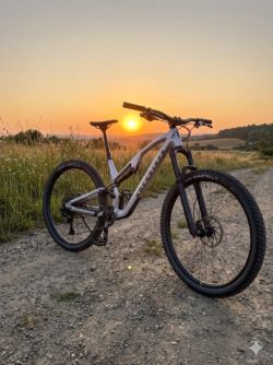 Rockrider Feel 900S