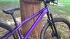 CTM CTM DIRTKING Xpert 2025
