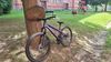 CTM CTM DIRTKING Xpert 2025