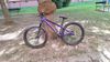 CTM CTM DIRTKING Xpert 2025