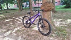 CTM CTM DIRTKING Xpert 2025