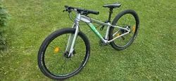 Amulet Youngster 26"