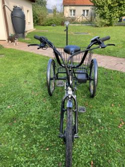 COMFY AL 26″