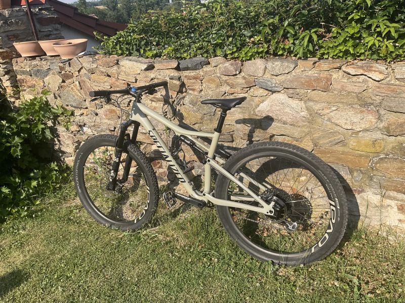 Specialized Epic Expert Carbon EVO