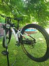 Mondraker Summum