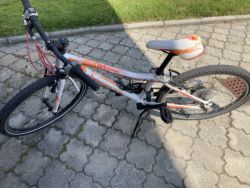 Superior Paint 24"