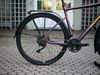 Bergamont Grandurance 6 Fmn