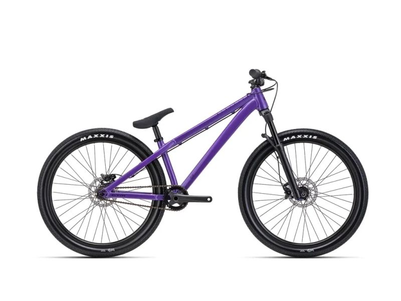 CTM DIRTKING Xpert 2025