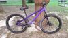 CTM CTM DIRTKING Xpert 2025 v ZÁRUCE