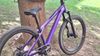CTM CTM DIRTKING Xpert 2025 v ZÁRUCE