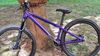 CTM CTM DIRTKING Xpert 2025 v ZÁRUCE