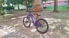 CTM CTM DIRTKING Xpert 2025 v ZÁRUCE