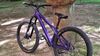CTM CTM DIRTKING Xpert 2025 v ZÁRUCE