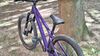CTM CTM DIRTKING Xpert 2025 v ZÁRUCE