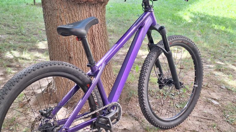 CTM CTM DIRTKING Xpert 2025 v ZÁRUCE
