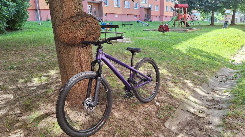 CTM CTM DIRTKING Xpert 2025 v ZÁRUCE