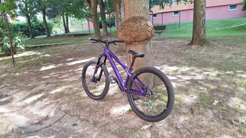 CTM CTM DIRTKING Xpert 2025 v ZÁRUCE