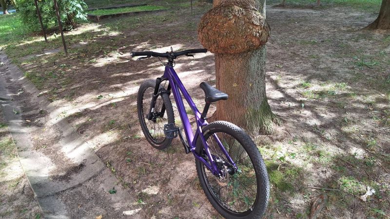CTM CTM DIRTKING Xpert 2025 v ZÁRUCE
