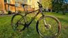 Orbea Alma M51