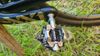 Orbea Alma M51