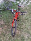 Merida matts J24