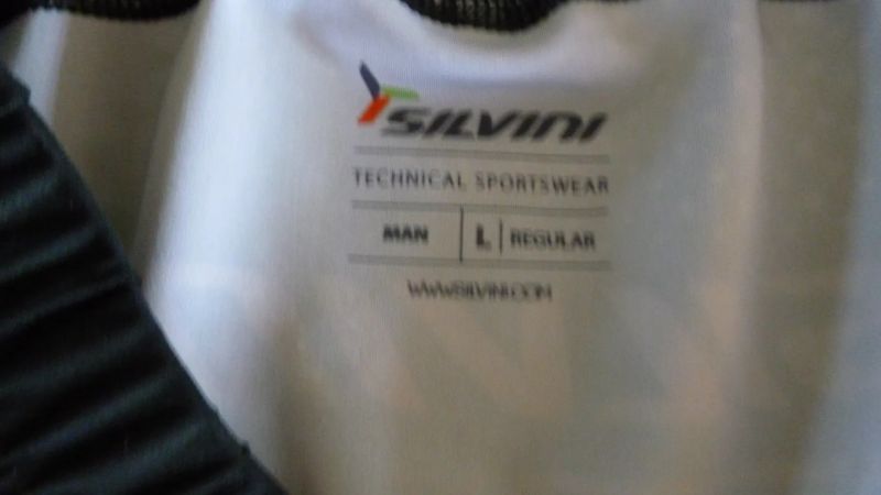 Silvini