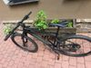 Cannondale Scalpel Scalpel HT Carbon 2 CRD