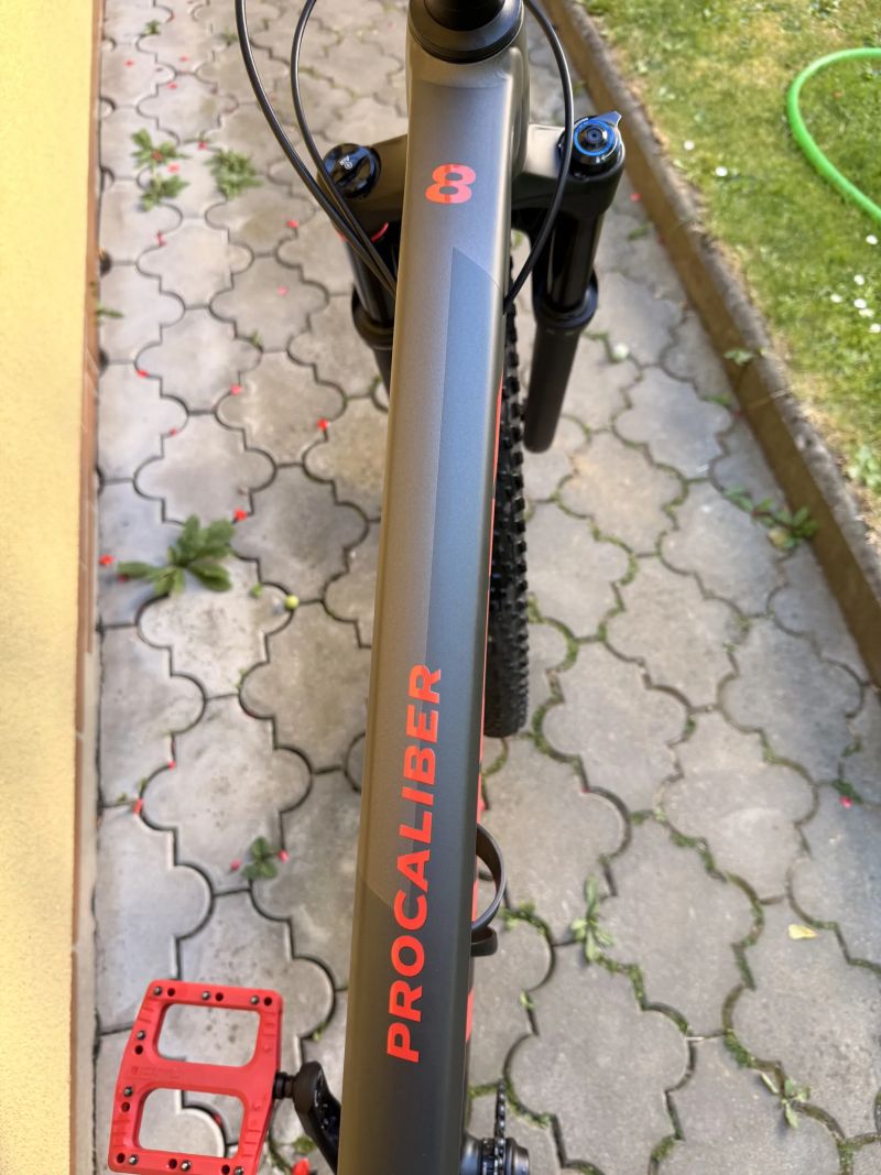 TREK PROCALIBER 8 MATTE MERCURY/LITHIUM GREY