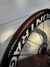 Spinollo