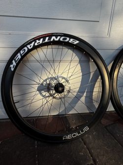 Spinollo