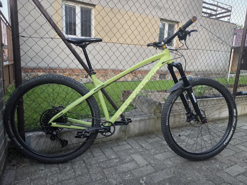 Dartmoor Primal 29