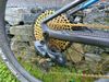 Mondraker F-Podium R