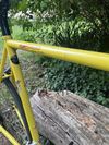 Fort Ro.78 2x1000