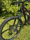 Cannondale Habit CARBON LTD Royal Purple 2024