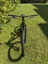Cannondale Habit CARBON LTD Royal Purple 2024