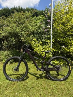 Cannondale Habit CARBON LTD Royal Purple 2024