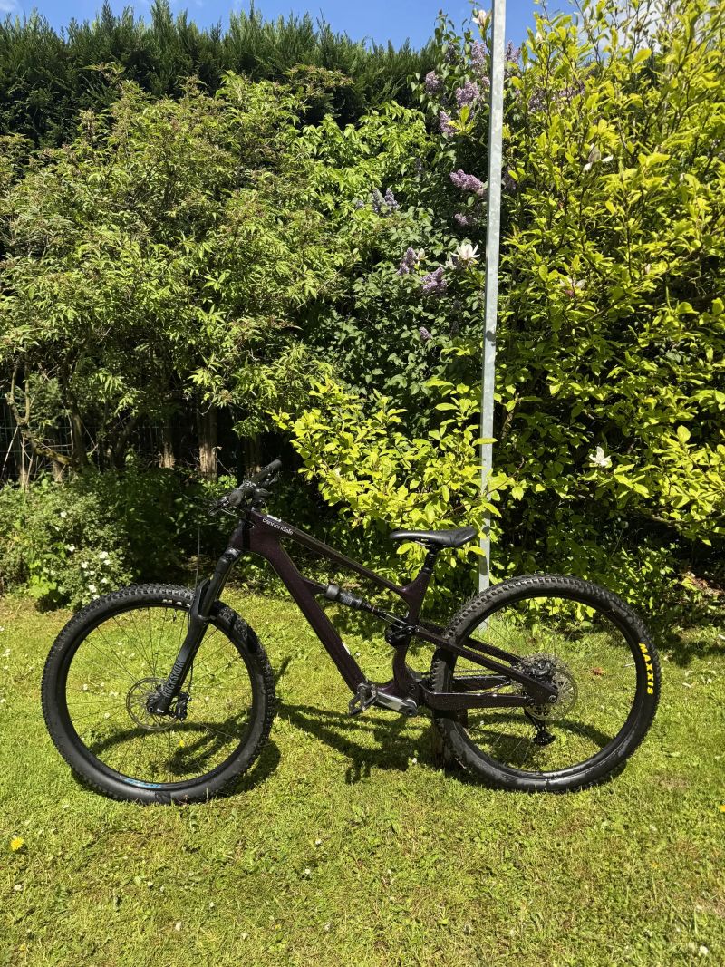 Cannondale Habit CARBON LTD Royal Purple 2024
