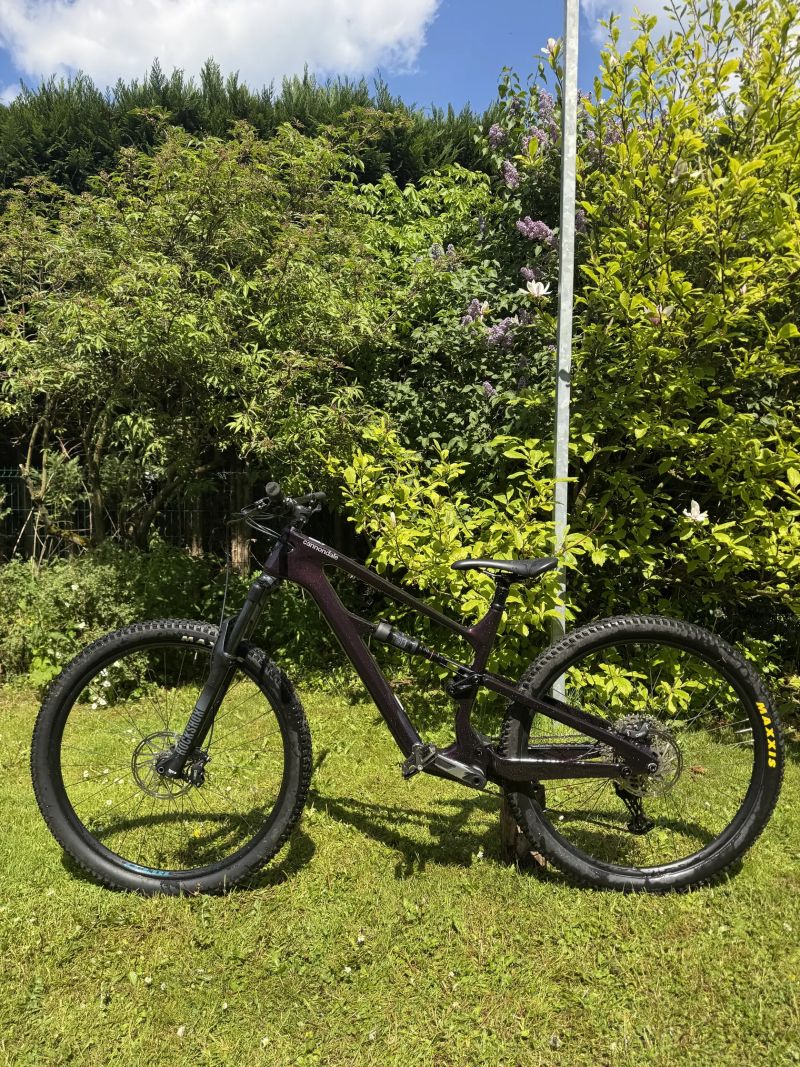 Cannondale Habit CARBON LTD Royal Purple 2024