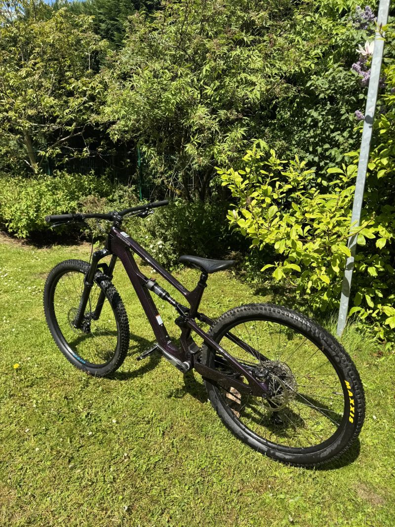 Cannondale Habit CARBON LTD Royal Purple 2024