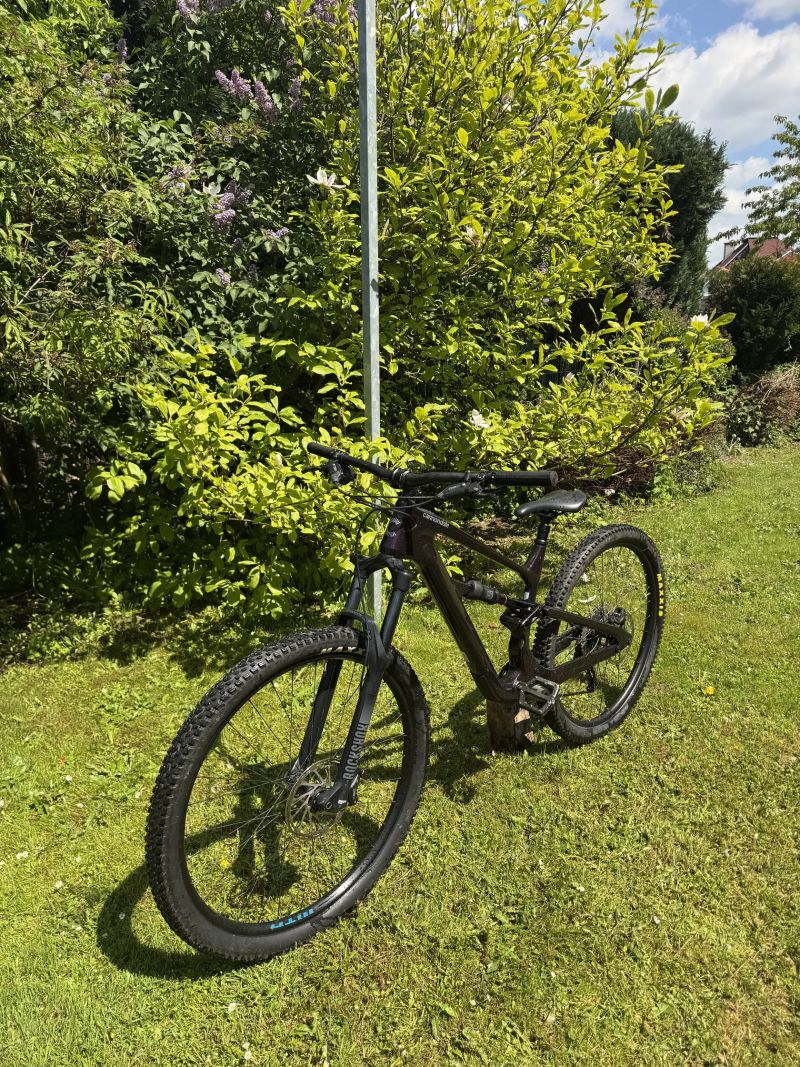 Cannondale Habit CARBON LTD Royal Purple 2024