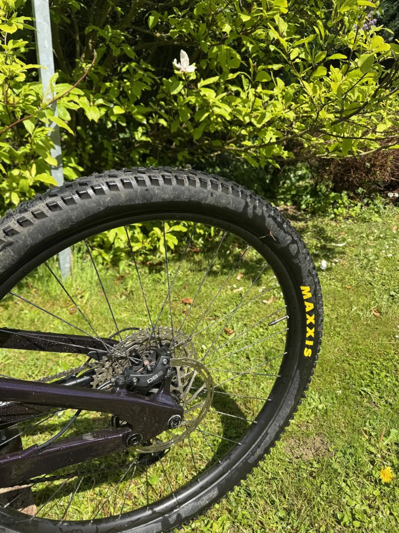 Cannondale Habit CARBON LTD Royal Purple 2024