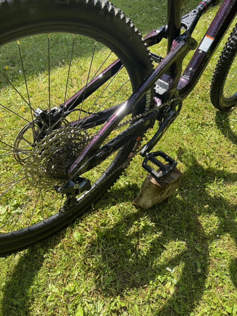 Cannondale Habit CARBON LTD Royal Purple 2024