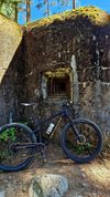 Specialized Epic Comp vel.M