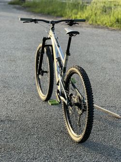 Kellys Thorx 10