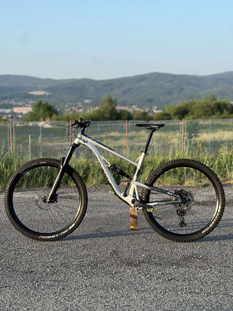 Kellys Thorx 10