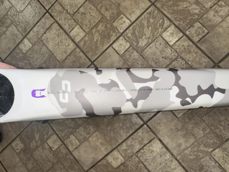 Canyon spectral cf karbon