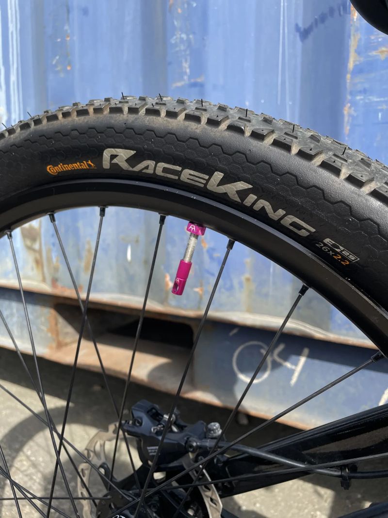 CTM Dirtking Pro - CUSTOM BUILD
