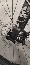 Canyon Neuron 6 WMN