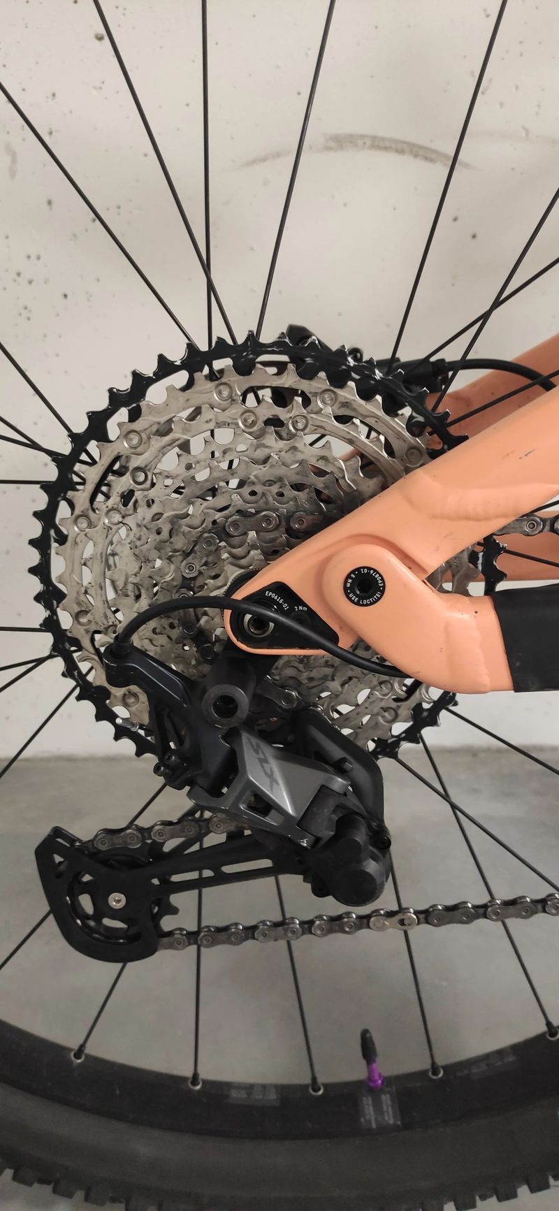 Canyon Neuron 6 WMN