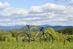 Trek Procaliber